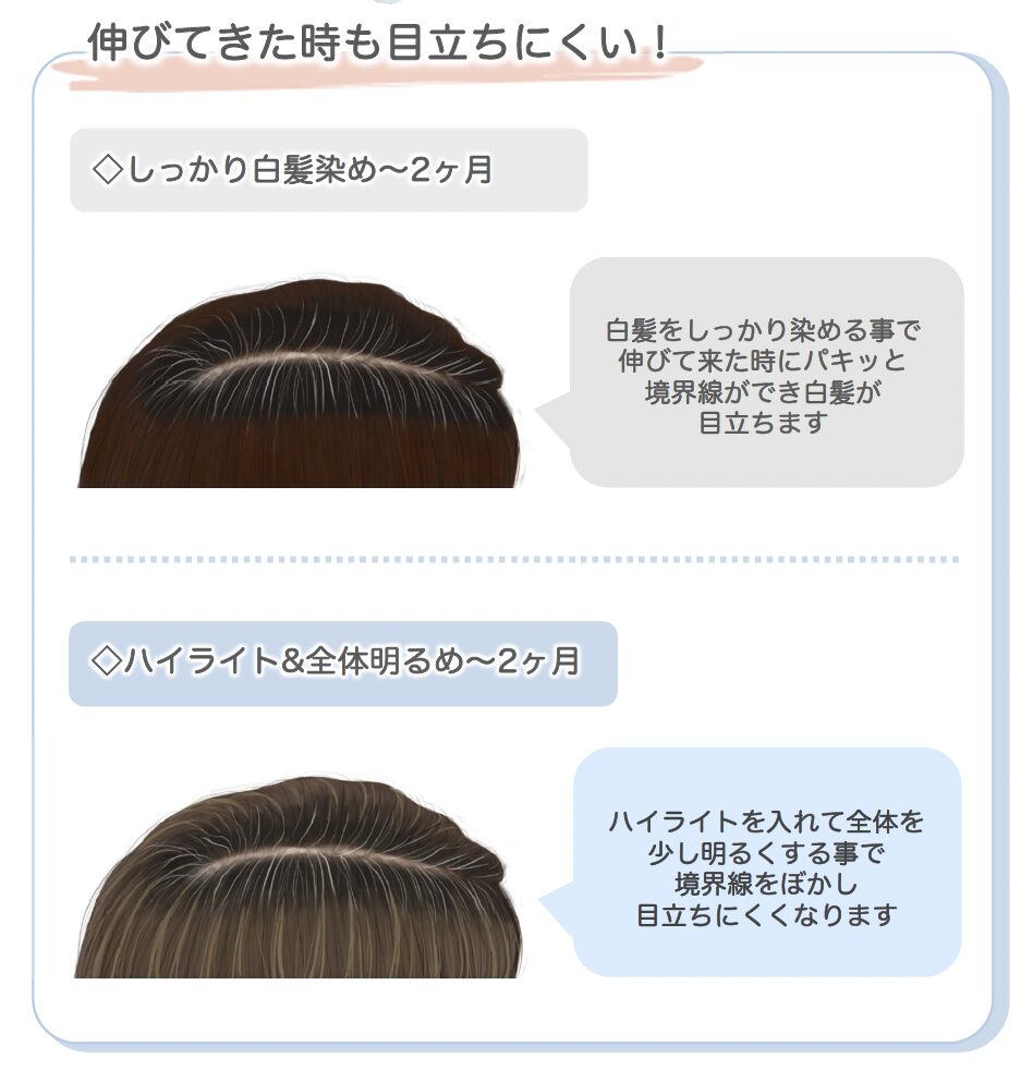 白髪ぼかし ビフォー
